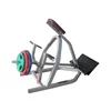 disabled fitness equipment Incline lever row