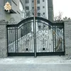 large cast iron production latest main gate designs for hotel NTIRG-363X