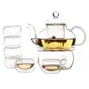 /product-detail/stove-top-rapid-tea-maker-steepware-clear-glass-teapot-with-infuser-62116128204.html