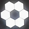 Custom Ceiling Mounted Light Magnetic Screw LED Ceiling Light