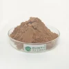 Favourable price hot selling horse chestnut P E/extract aescin/escin