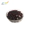 Best quality new model made in china health care products krill oil