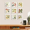 Wholesale Thick 3D Shadow Box Frames 8x8 & Specimen Display Stand