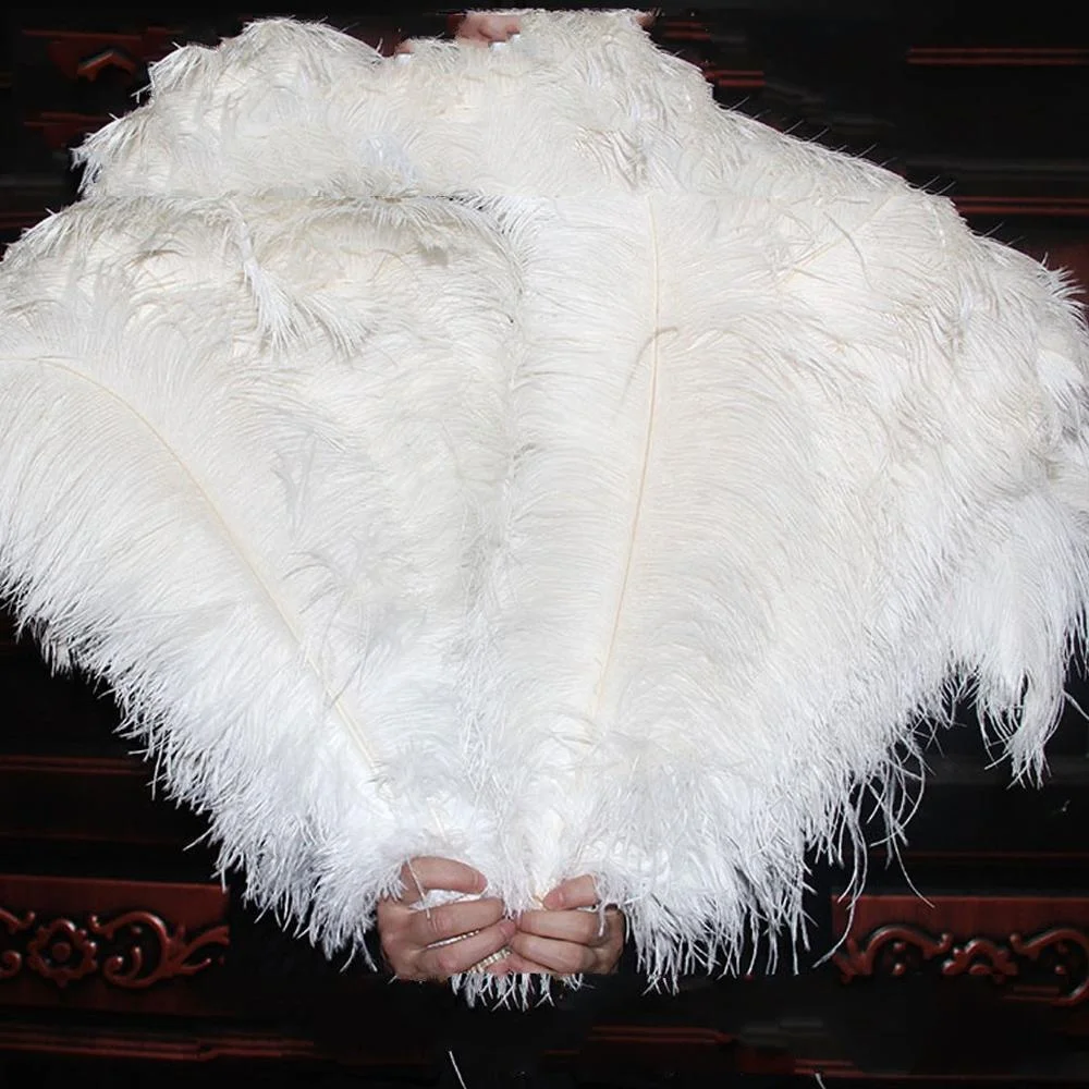 
No.1 Supplier White Ostrich Feather For Fashion Show 