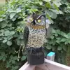 bird scare solar sensor energy owl