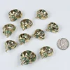 Natural Green Snail Dyed Gilt Yellow Conch Shell For DIY Semi Finished Curtain Home Accessories
