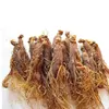 Certified Organic Red Ginseng Root