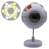 6 times enlarged model plastic human anatomical study Eye Model