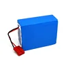 BMS Protection High Performance Li-ion Battery Pack 24V 10Ah For Small Car/E-bike Battery