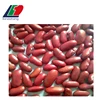 The Newest Crop White Kidney Beans, Buyers of Soya Beans, Different Types Dried Beans