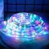 Hot sale 2019 top quality and best price 10m rainbow led type decoration string light factory wholesale and fast delivery