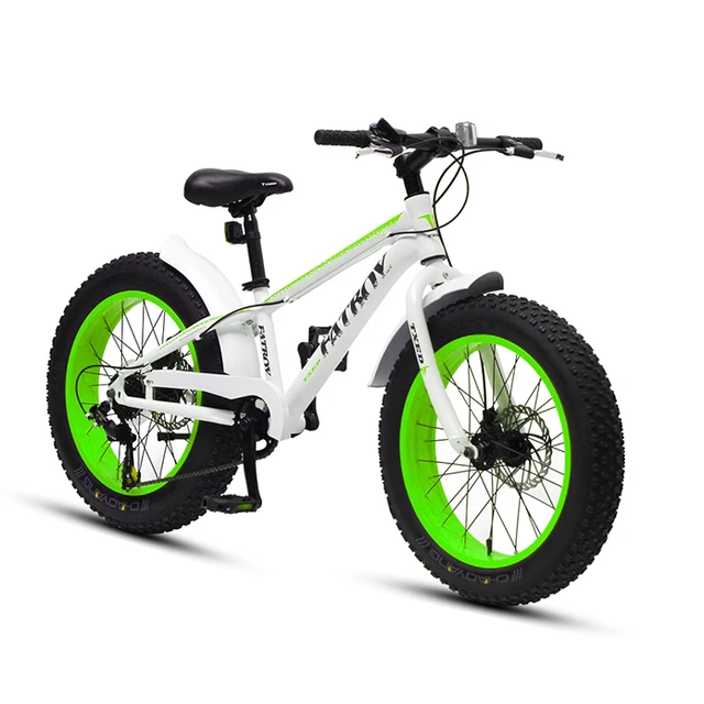 Configurable Options Snow Fat Cycle 