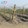 Environment Friendly Y Shape Vineyard Post I Vine Open Gable Trellis System