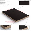 low price film faced poplar birch pine plywood for china supply