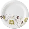 Everyday Paper Plates, 8 1/2", 480 Count, 10 Packs of 48 , Lunch or Light Dinner Size Printed Disposable paper plate