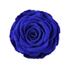 Wholesale New Big Romantic Forever Real Ecuadorian Blue Rose Preserved Roses
