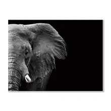 Promosi Animasi Gajah Gambar Beli Animasi Gajah Gambar Produk Dan