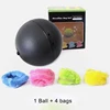 Electronic Automatic Roller Magic Microfiber Ball Mop Dog Cat Pet Plush Ball Toys