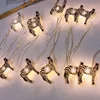 Children Bedroom Party Indoor Decoration Battery Operated Warm White 2M 20 Zebra Shaped LED Light String