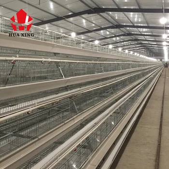 Egg incubator egypt