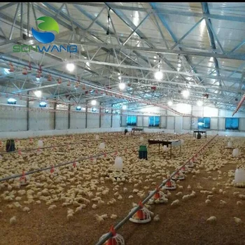 Low Cost Modern Prefab Poultry Farming Shed Building 
