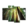 Giant Green Tree Forest Nature Scenery Canvas Oil Painting Art Decor