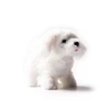 ELE19-38 Walking Barking Dog Plush Stuff Pet Puppy Kids Toy Sound and Light Electronic Dog Toy Gift
