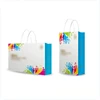 Custom logo paper shoes bags rope twisted handles shoes paper bags with your own logo shopping paper bag custom