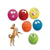 Squeaky Pet Toys For Cat Dog Teeth Squeaker Ball Puppy Squeaky Sound Face Fetch Play Toy 6 Pcs Each Set