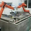 Industrial robots made in China polish auto parts auto tail manipulator polishing
