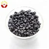 Manufacturers Supply Polypropylene Particles