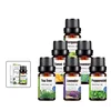 bulk 100% pure and natural lavender essential oil spa massage oil gift set 10ml