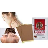 Hot Patch for Pain Relief, Tiger Capsicum Plaster, Haobloc Franchise Latest New Products, Factory Price