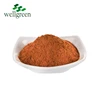 Natural feed nutritional ingredient bamboo shoot leaf extract powder