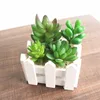/product-detail/a-set-of-tropical-plants-mini-artificial-potted-succulent-arrangement-62112838335.html