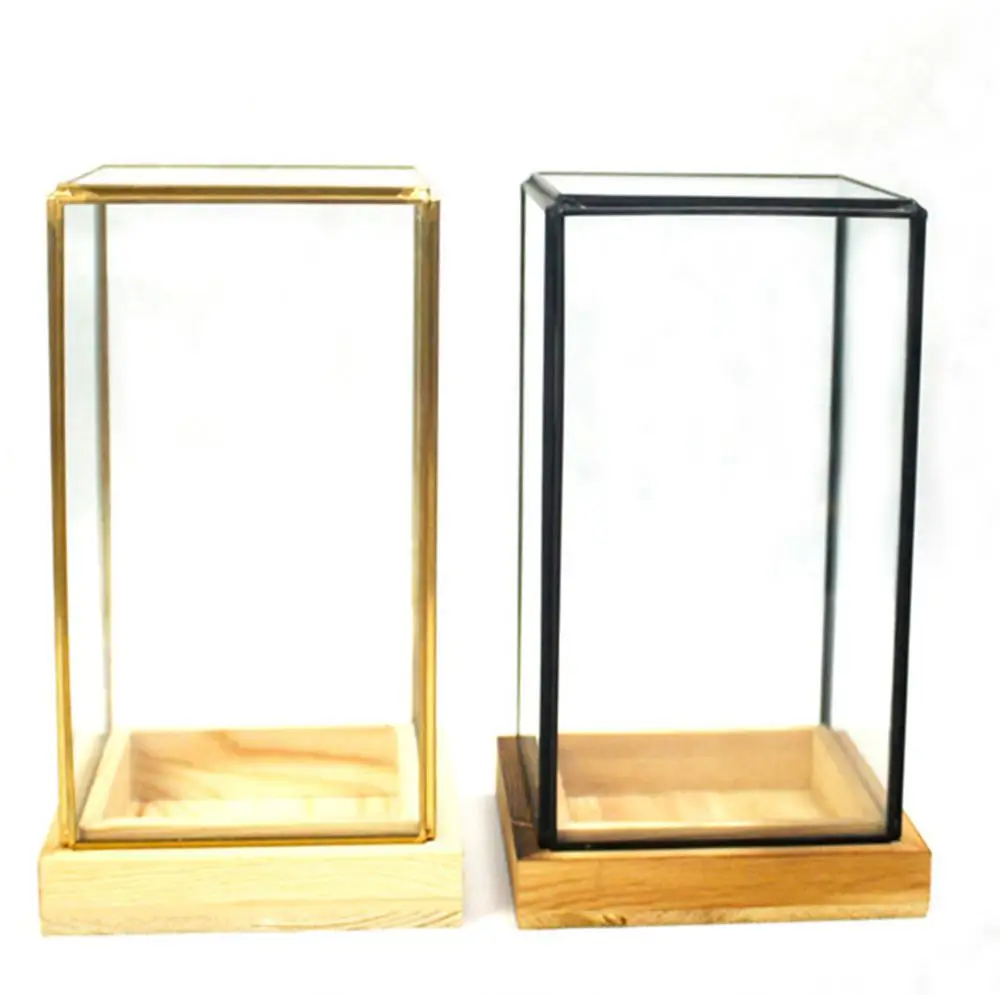 Wholesale New Design And High Quality Cuboid Geometric Glass Terrarium