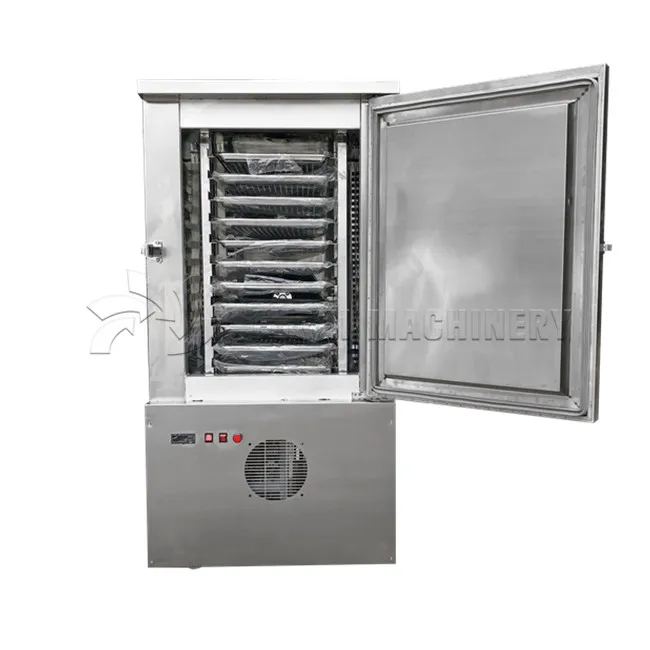 High Density Used quick frozen french fries blast freezer for Seafood/Meat Storage  WT/8613824555378