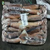 new arrival frozen illex squid for sale 200g 300g