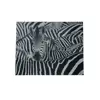 led light up canvas print horse picture