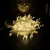 Factory direct sales customized warm multicolor party decoration light plug LED string