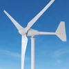 Factory Horizontal 2kw Wind Turbine/Wind Mill/ Wind Generators