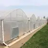 HDPE insect net/vegetable insect net / plastic anti insect mesh netting for greenhouse