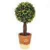 Environmental Artificial Boxwood Grass Plant in Shape of Topiary Ball Mini Tree Potted for Home and Decorations