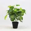 Different kinds real touch artificial greenery potted for office decoration