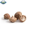 Export Grade Natural dry shiitake mushroom for procurement