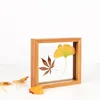 Modern Home Decor Certificate Clear Glass Picture Frame Photo Plant display box Specimen frame