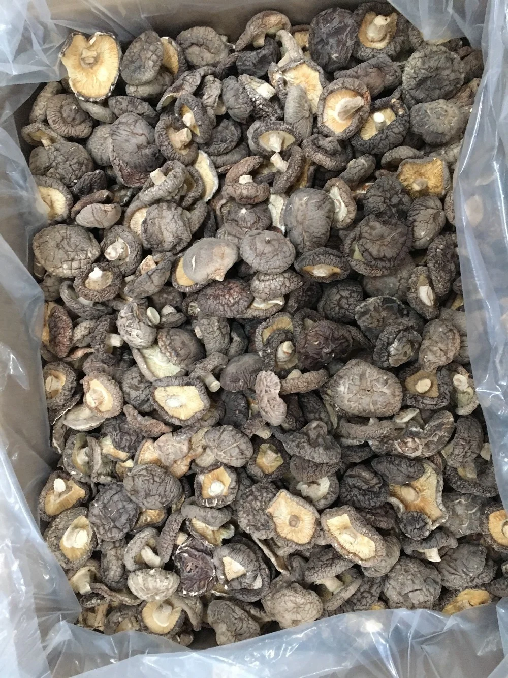 Healthy Organic Food Onlg 1kg Dry Dried Shiitake Mushroom Stem/leg