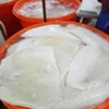 Hot sale Indian ocean squid fillet skin on