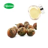 Foaming Agent for Cosmetics Soapnut Sapindus Mukurossi Extract