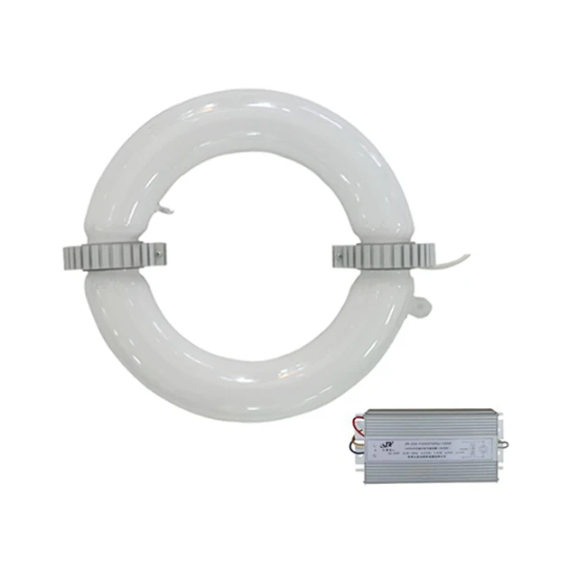 
5-year warranty 80W 100W 120W 150W 200W 250W induction lamp ballast 